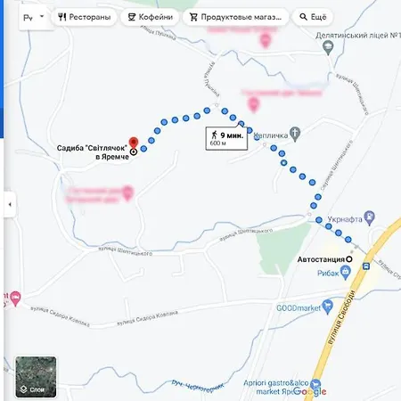 Svitlyachok Guest house *