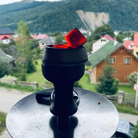 Svitlyachok Guest house *