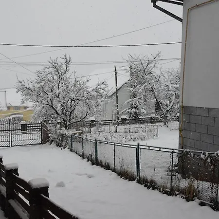 Svitlyachok Guest house *