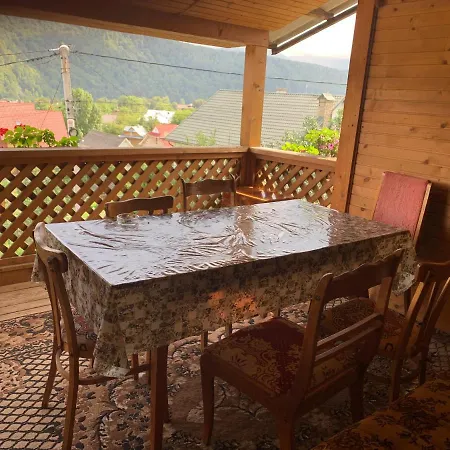 Svitlyachok Guest house *